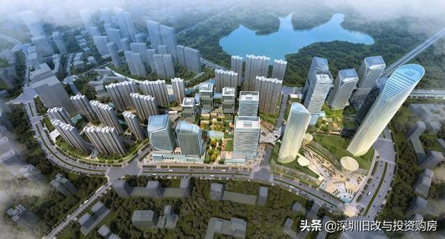 龍崗最新資訊，學習變革，自信成就未來之路